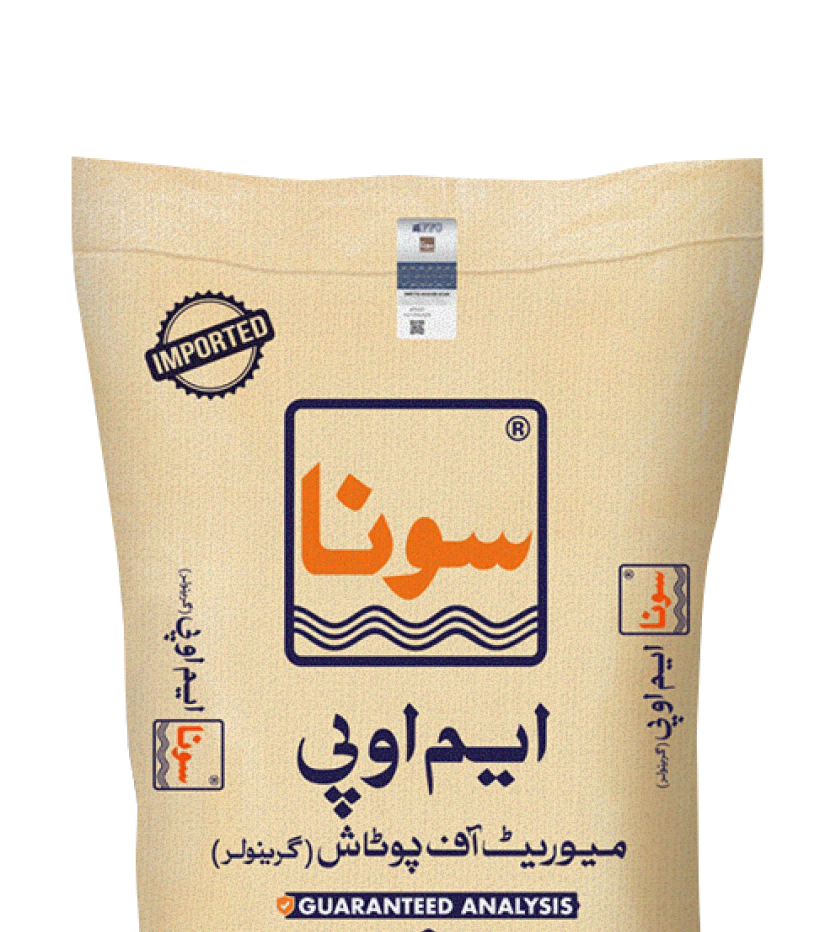 Overlapping Bag