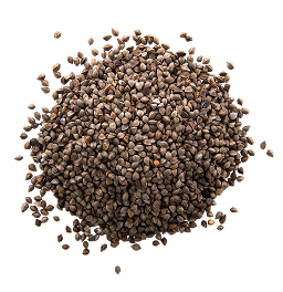 Seeds